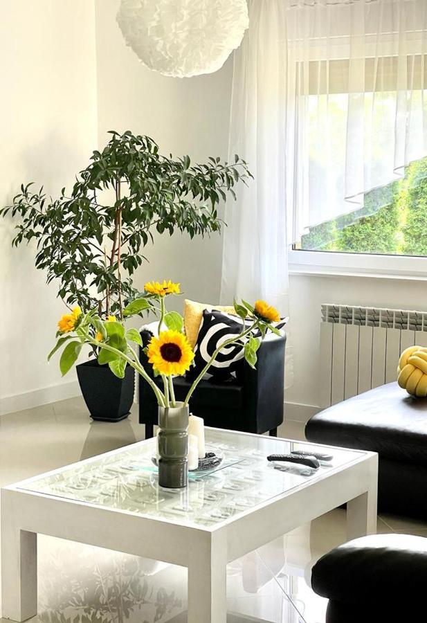 Vila U Gosi Zator Exteriér fotografie