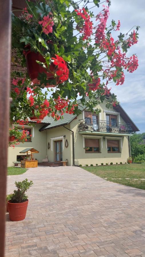 Vila U Gosi Zator Exteriér fotografie